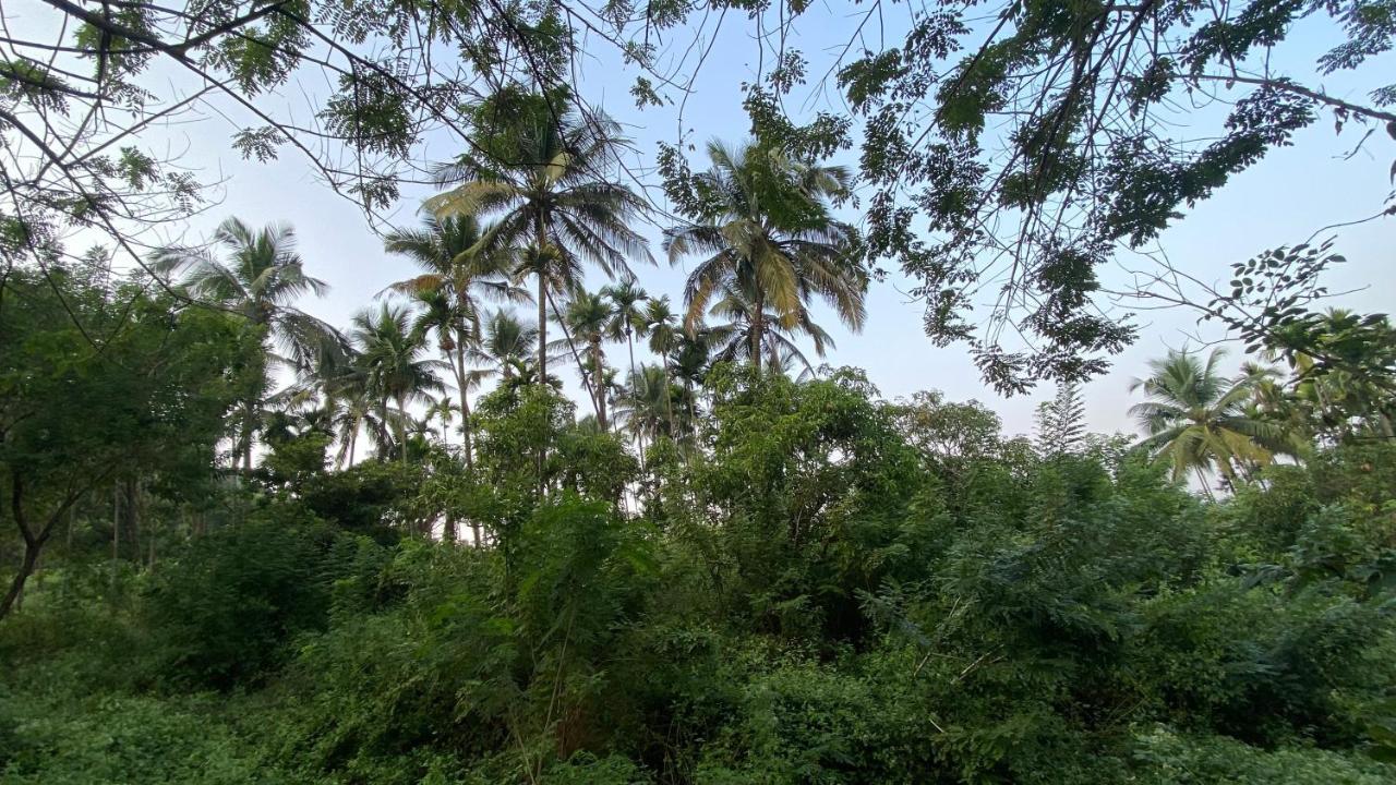 Lermitage Farms Kashid Alibaug Villa Екстериор снимка