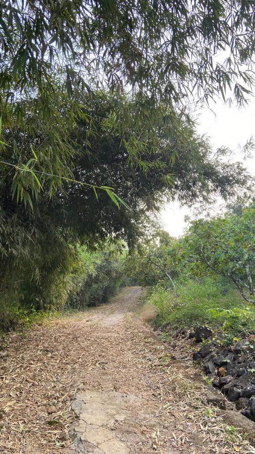Lermitage Farms Kashid Alibaug Villa Екстериор снимка